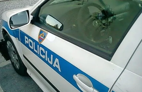 Policija preiskuje najdbo člove&scaron;ke lobanje v peči v novome&scaron;kem Br&scaron;ljinu