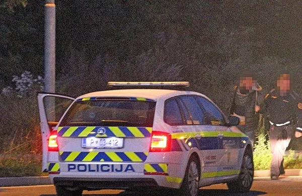 Policisti so jeseni  pri prevozu ilegalnih prebežnikov prestregli  
pravnika iz  Sirije in  dva državljana Bosne in Hercegovine, ki živita 
v Sloveniji. 