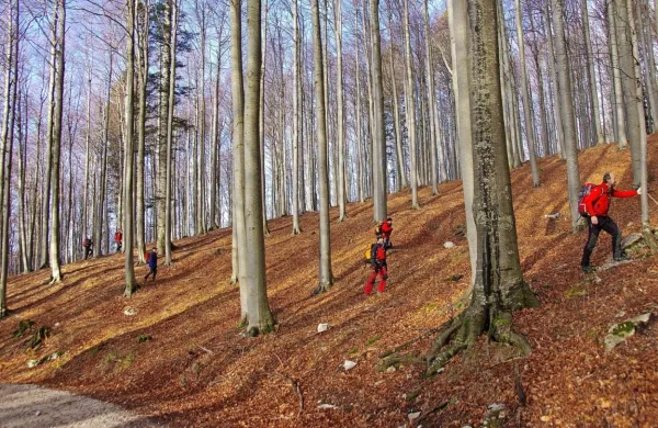 Fotografija je simbolična.