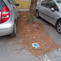 Nekatera parkirišča očitno že dolgo niso bila  pometena. 