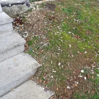 Zelenica  pred vhodom v eno od stavb je nastlana s cigaretnimi 
ogorki. 