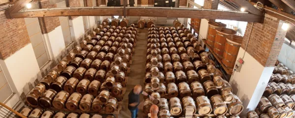 Midolinijevo podstrešje pri Manzanu ima rekordno število baterij 
za pridelavo tradicionalnega balzamičnega kisa. 