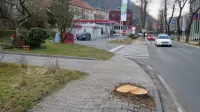 Odstranitev treh lip je sicer zagotovila bolj varen izvoz z bencinskega servisa, okrnila pa je sto let star  
drevored.
