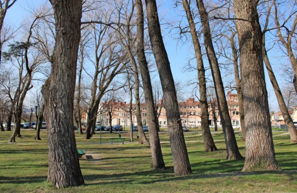 Občina je za Šturski park predvidela celovito prenovo in nove 
vsebine ter pomladitev zasaditve. Za začetek bodo na osnovi 
arboristične študije odstranili 30 dreves.