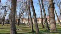 Občina je za Šturski park predvidela celovito prenovo in nove 
vsebine ter pomladitev zasaditve. Za začetek bodo na osnovi 
arboristične študije odstranili 30 dreves.