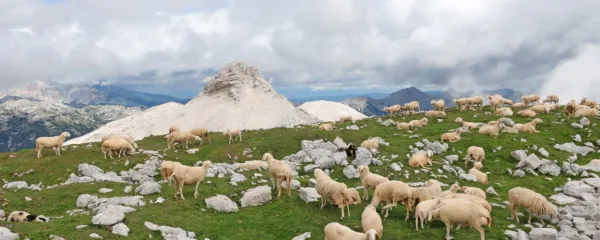 Krnsko pogorje: pogled z Batognice proti Vrhu nad Peski