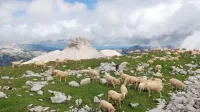 Krnsko pogorje: pogled z Batognice proti Vrhu nad Peski