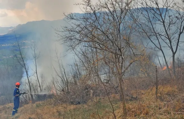 Požar v gozdu gasili tudi s helikopterjem