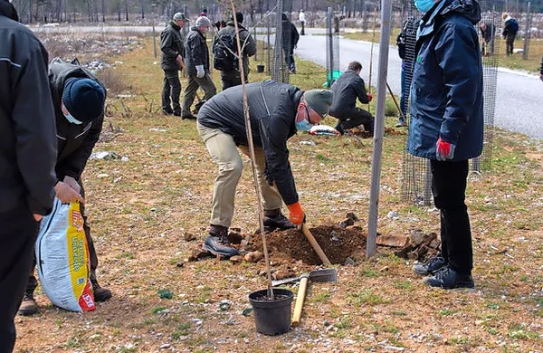  S saditvijo  dreves so na Cerju predali sporočilo svetovne  kampanje o pomenu ohranjanja gozdov za zdravje ljudi in planeta. 