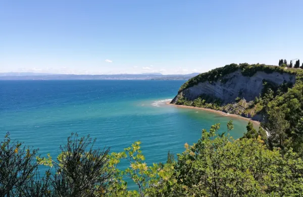 Bosta zanamcem ostala le umazano morje in pozidana obala?