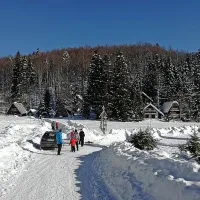 Občina želi med Il. Bistrico in Sviščaki  urediti nadomestno cesto, ki bi bila speljana od Globovnika do Črnih njiv ter tako zaobšla 
središče Trnovega, kjer je zdaj odcep za Sviščake.   