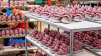 V tovarni podjetja Afit vsako leto izdelajo približno 600.000 parov 
čevljev.
