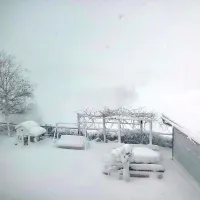 Gora