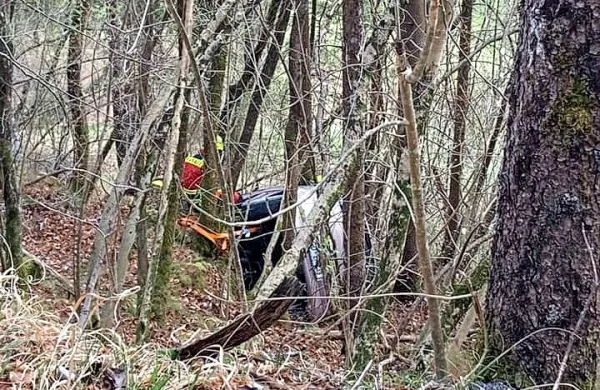 Domačin je v soboto popoldne z avtom zapeljal s ceste proti Idrijskim 
Krnicam, ustavila so ga drevesa, približno  deset  metrov pod cesto. 
