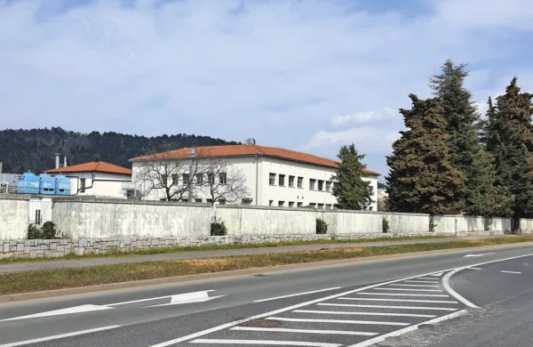 Na mesto  odstranjenih robinij bodo vzdolž dela Partizanske ceste zasadili lipe ali drevored koprivovcev.