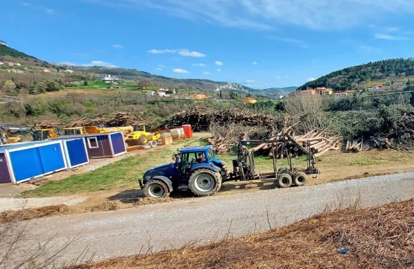 Družba 2TDK ima dovoljenje za sečnjo na območju Bekovca 
podaljšano do 15. aprila.