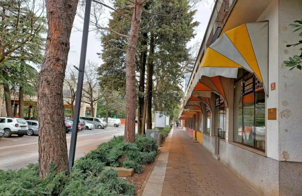 Občina prenavlja Delpinovo ulico, z ZRC SAZU pa se še dogovarja o urejanju tako imenovanega 
Goriškega knjižnega središča. Ta bo, s pomočjo države ali brez, zagotavljajo.    