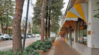 Občina prenavlja Delpinovo ulico, z ZRC SAZU pa se še dogovarja o urejanju tako imenovanega 
Goriškega knjižnega središča. Ta bo, s pomočjo države ali brez, zagotavljajo.    