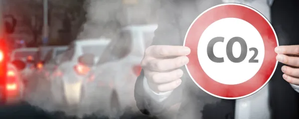 Moj črni konj ... bi rabil uzde