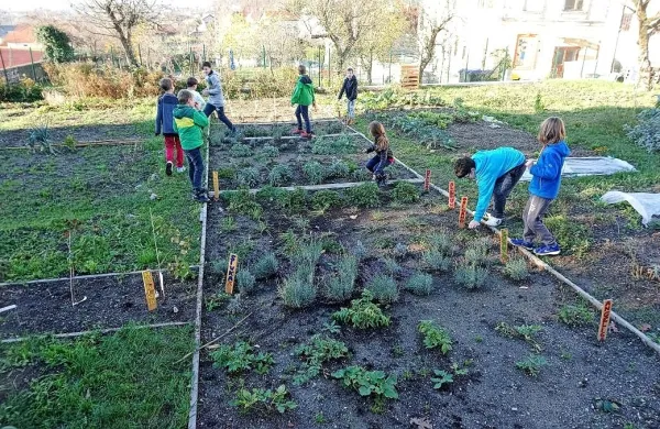 V okviru projekta so nekatere šole izvajale kmetijske krožke, kjer 
so se na šolskih vrtovih učili pridelovati zelenjavo. 