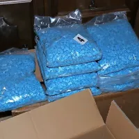  Združbi so med drugim zasegli tudi večje količine ekstazija in 
drugih sintetičnih drog. 
