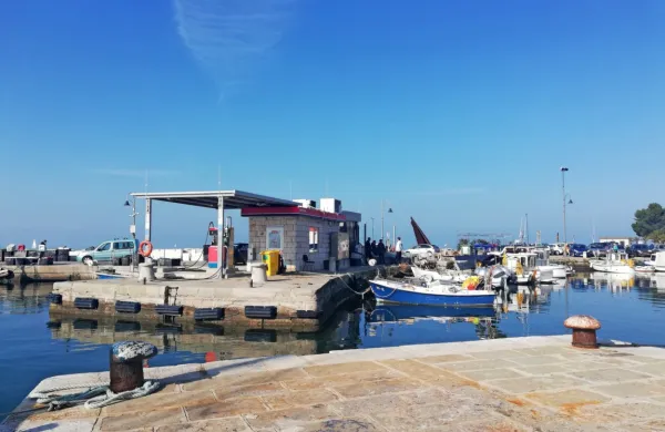 Bosta ribi&scaron;ko infrastrukturo obnovila Grafist in Adriaing?
