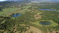 Z evropskim denarjem  bodo izboljšali stanje več živalskih in 
rastlinskih vrst  na območju Pivških presihajočih jezer. 