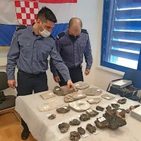 Fosili naj bi izvirali  z območja rudnika lignita pri Bugojnem.