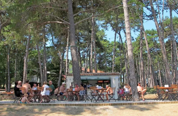 Državni revizorji so pri pregledovanju izvajanja gostinske dejavnosti na plažah, ki je že nekaj let v domeni občine in njenih 
režijskih obratov, ugotovili, da občina za takšno dejavnost ni imela  
pravne podlage.