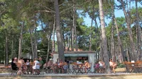 Državni revizorji so pri pregledovanju izvajanja gostinske dejavnosti na plažah, ki je že nekaj let v domeni občine in njenih 
režijskih obratov, ugotovili, da občina za takšno dejavnost ni imela  
pravne podlage.