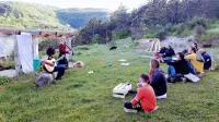 Sokoliči