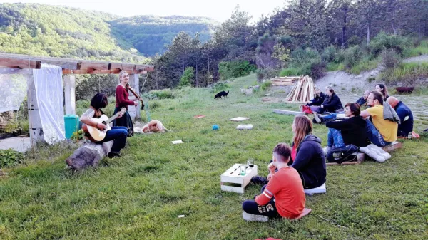 Sokoliči