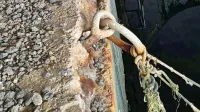 Armiranobetonski venec zidu je tako poškodovan in dotrajan, da je 
nevaren za vse, ki sestopajo ali vstopajo na tam privezana plovila.
