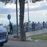 Filmski konec policijske akcije na pasareli