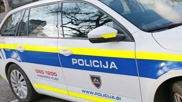 Italijan je v kombi stlačil 17 Pakistancev