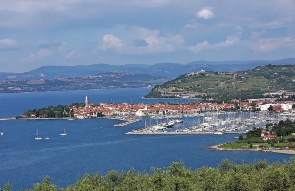 Izola