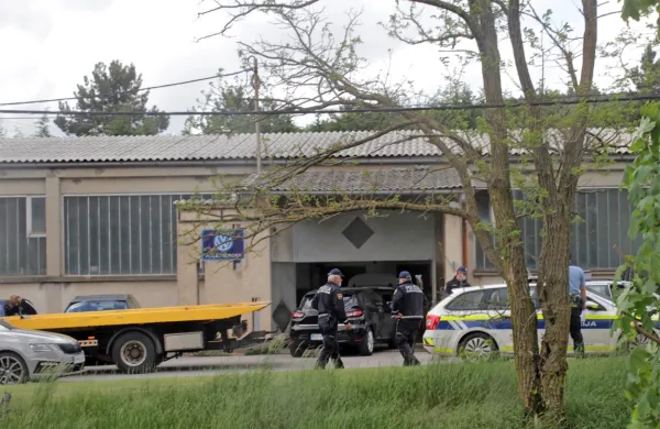 Policisti so   25-letnika po  zasledovanju ustavili v Lokvi,  kjer jim je 
izročil tudi imitacijo pištole.  
