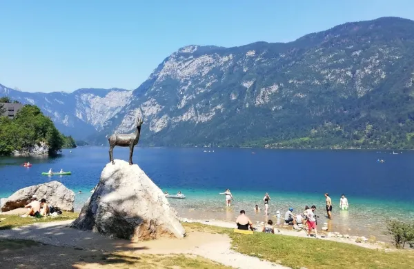 Na Bohinjskem jezeru prepovedani kopalni pripomočki in glasna glasba