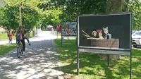 Ob jubileju je ob grajskem obzidju na ogled  fotografska  razstava z 
utrinki dogodkov, ki jih je MKC Hiša mladih gostil minulih deset 
let.