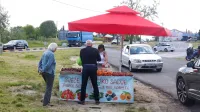 Izolski Belveder je priljubljen prostor za obcestne stojnice preprodajalcev sadja in zelenjave, ki  inšpektorjem za varno hrano pogosto ne morejo dokazati, 
od kod prihajajo jagode, češnje, marelice ..., ki jih ponujajo.   