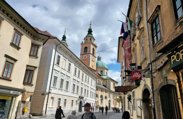 Po podatkih iz maja letos je v Sloveniji registriranih 27.877 
nevladnih organizacij (NVO).