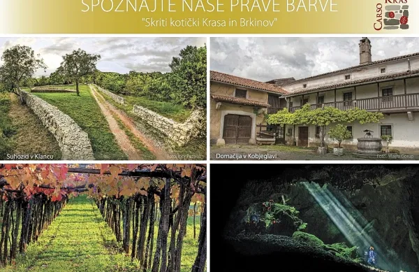 Fotografije za razglednice so prispevali člani Fotokluba Žarek iz 
Sežane.