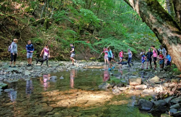 Istrske občine podpirajo projekt zajezitve Suhorce, komisija državnega sveta pa je vladi naložila preučitev že preteklega projekta 
oskrbe Obale in Krasa s pitno vodo iz bistriških virov in Klaričev.