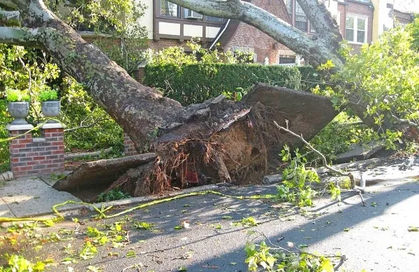  Dele Avstrije je v sredo zvečer zajela nevihtna fronta. Fotografija je 
simbolična.