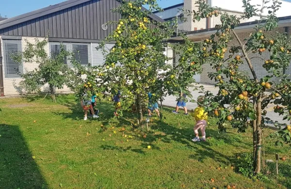 V vrtcu Košana, ki je privlačen tudi zaradi narave v okolici,  bodo odprli dodatnega pol oddelka.