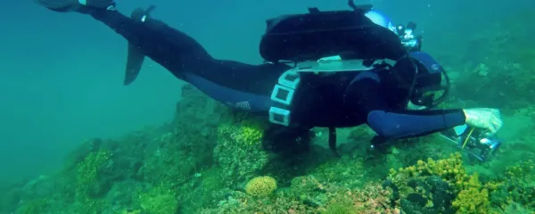 V zadnjih tridesetih letih so bila mnoga nova spoznanja odkrita na 
podlagi potapljanja.