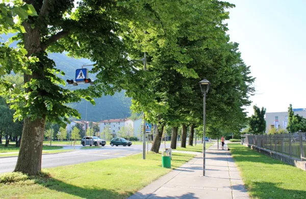 Okrožno sodišče v Novi Gorici je v tožbi občine Vipava proti podjetju Skapin v primeru koncesijske pogodbe za rekonstrukcijo javne 
razsvetljave  zavrnilo vse tožbene zahtevke. 