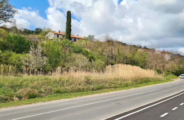 Nepozidano stavbno zemljišče ob Dolinski cesti v Olmu (levo) je na občinski dražbi  kupil izolski 
podjetnik Aco Kabanica.