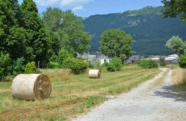 Poslovna cona se bo širila tudi na območje Pod Fructalom,  ki ga bo 
občina komunalno uredila do konca poletja 2022.