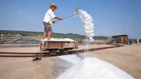 Delo v solinah je odvisno od suhega vremena,  vročine in sonca, kar 
je  za zdravje solinarjev lahko nevarno, zato naj bi uporabljali več 
zaščitne opreme.   